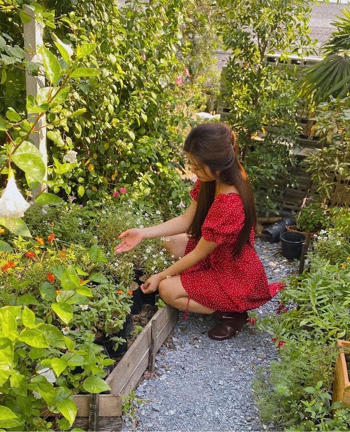 Екзотично тайландско кулинарно изживяване „от фермата до масата“