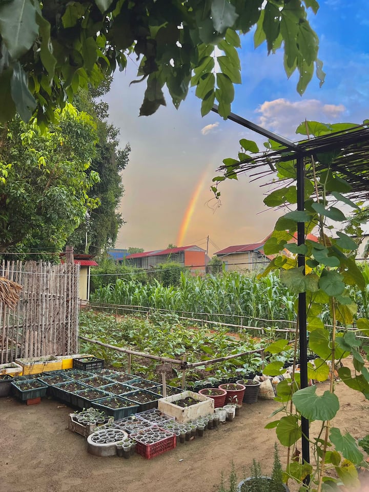 Escapada de cocina jemer de Phnom Penh al otro lado del río
