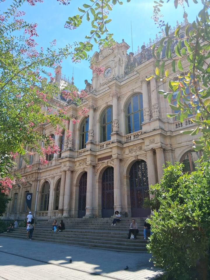 Visita insólita e inmersiva de Lyon