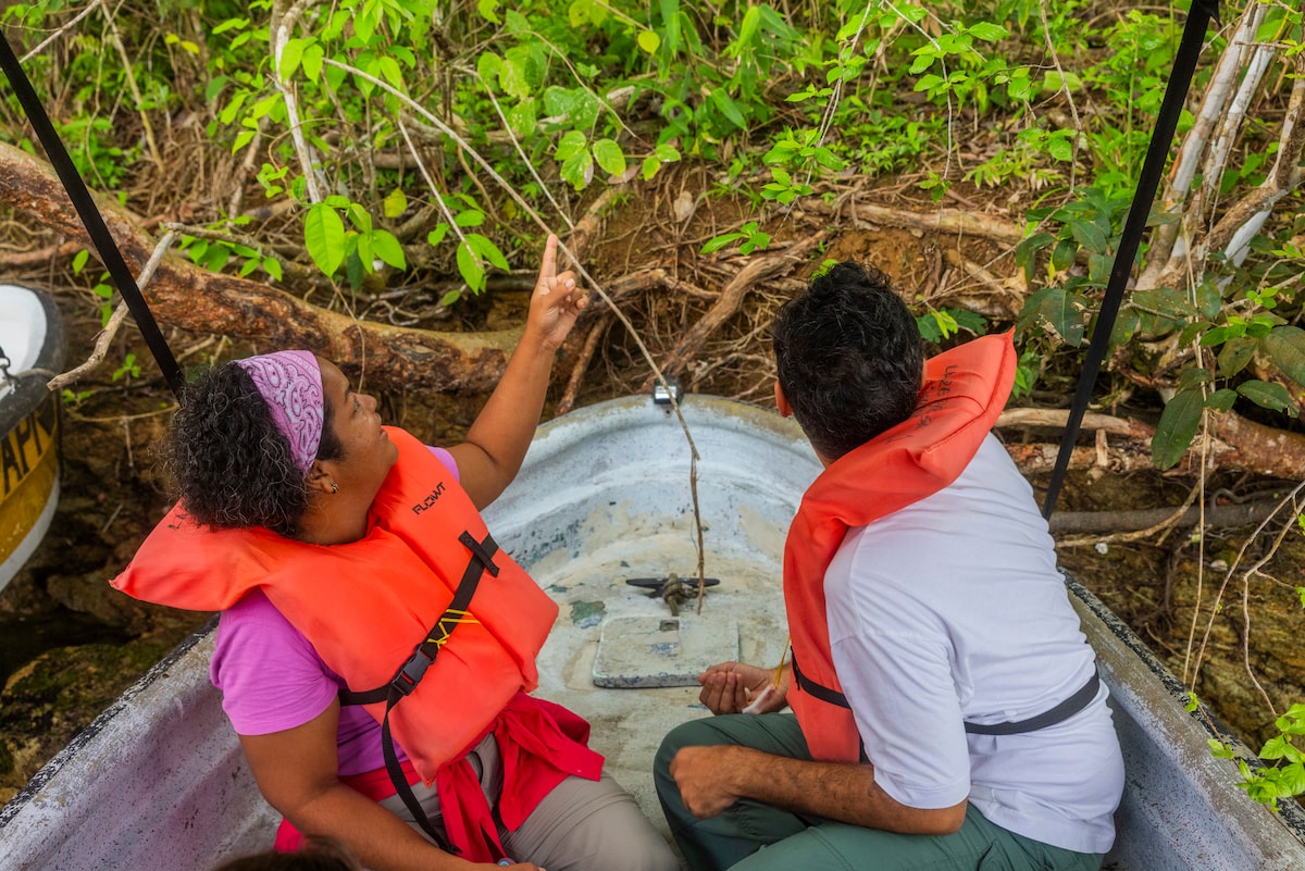 Wildlife on the Panama Canal - Small Group