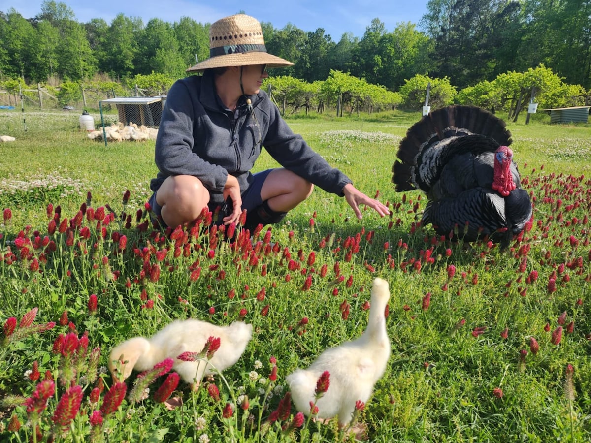 Be a Farmer for a day