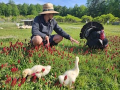 Be a Farmer for a day