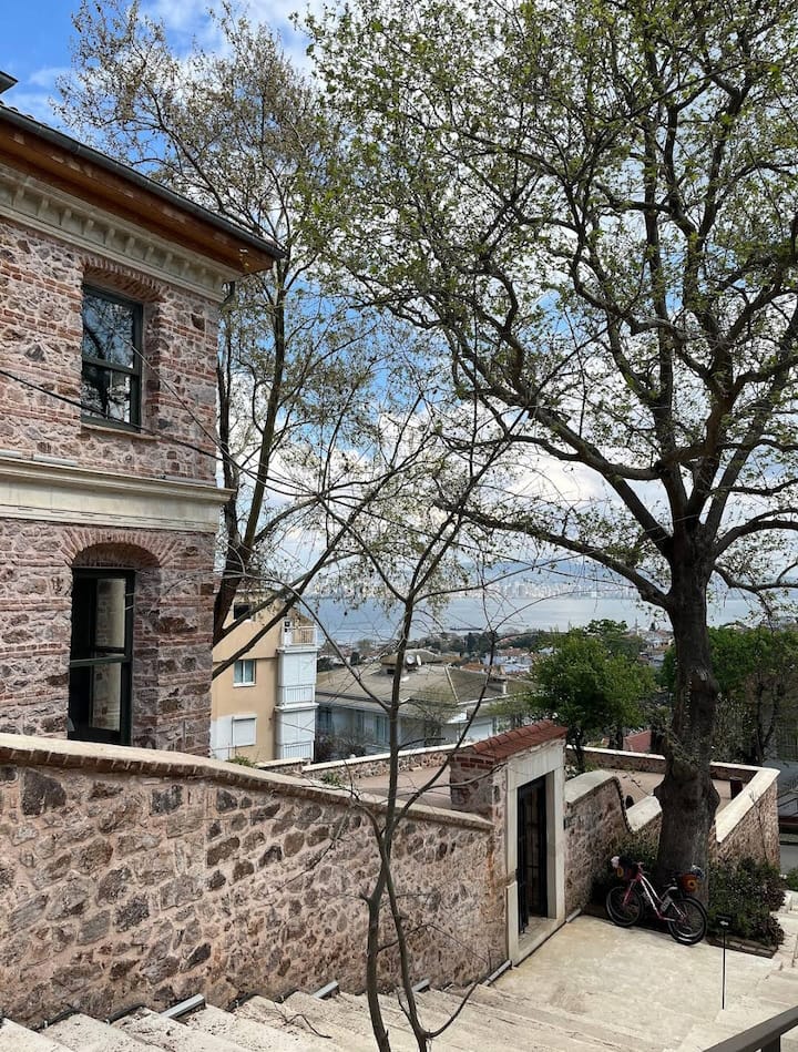 Целодневно пътешествие до Принцесови острови 1