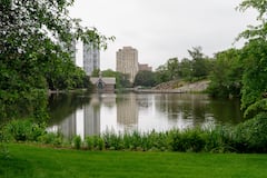 Wildlife Walk & Photography Workshop Central Park