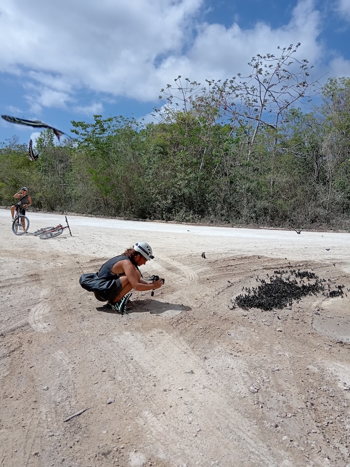 Kuendesha Baiskeli Katika Msitu wa Cenote Iliyo Wazi