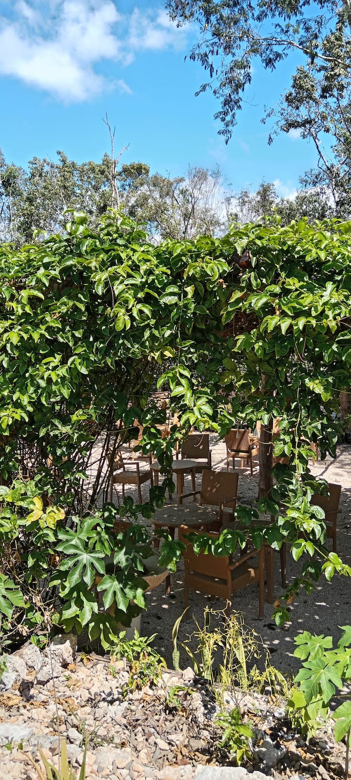 Kuendesha Baiskeli Katika Msitu wa Cenote Iliyo Wazi