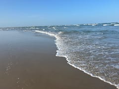 乘船探索奥康纳港海滩
