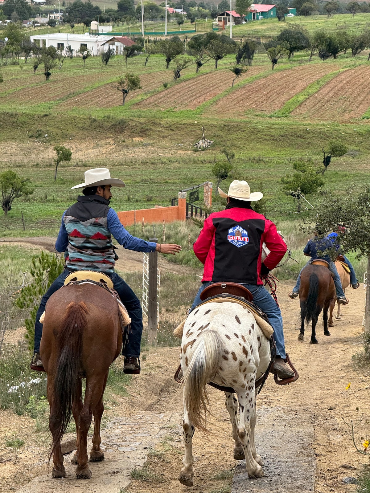 Horseback Adventure at Mores Ranch