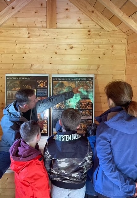 Guided tour of my apiary