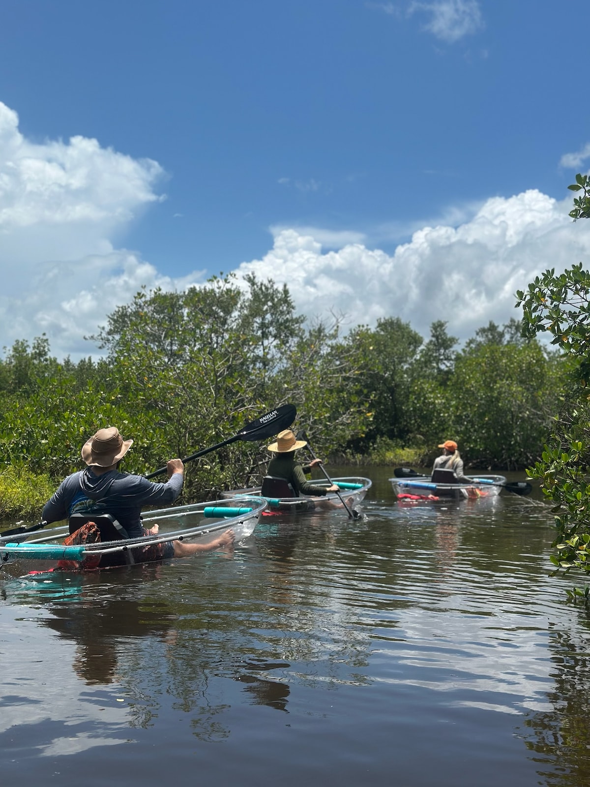 Kayak through New Smyrna Beach in clear kayaks
