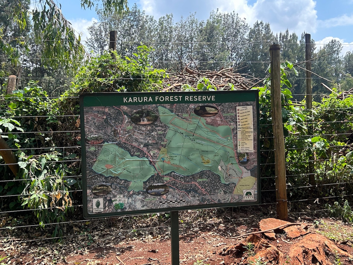 Enjoy outdoor and nature in Karura forest hike