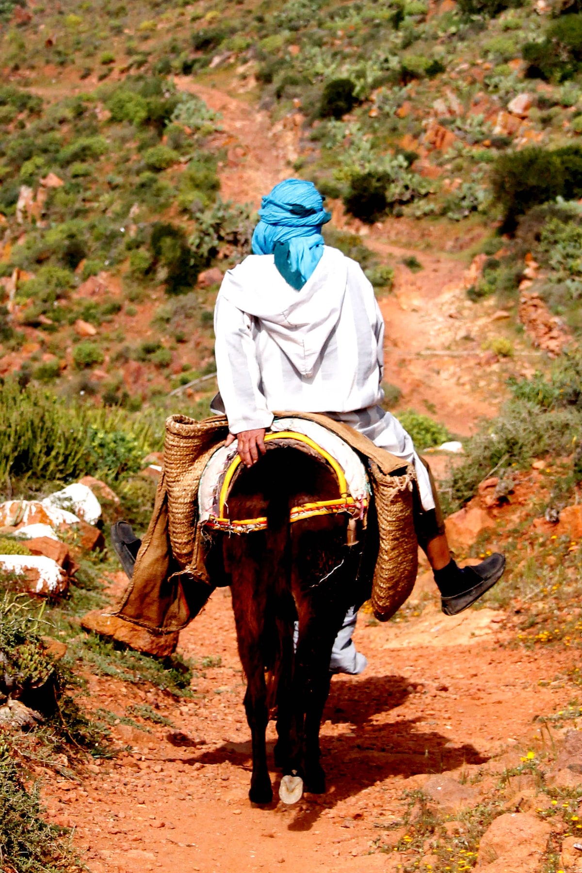 Amazigh Experience: Tradition, Nature