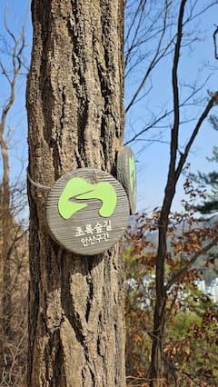Paseo por la naturaleza de Seúl, mercado y cerveza artesanal opcional