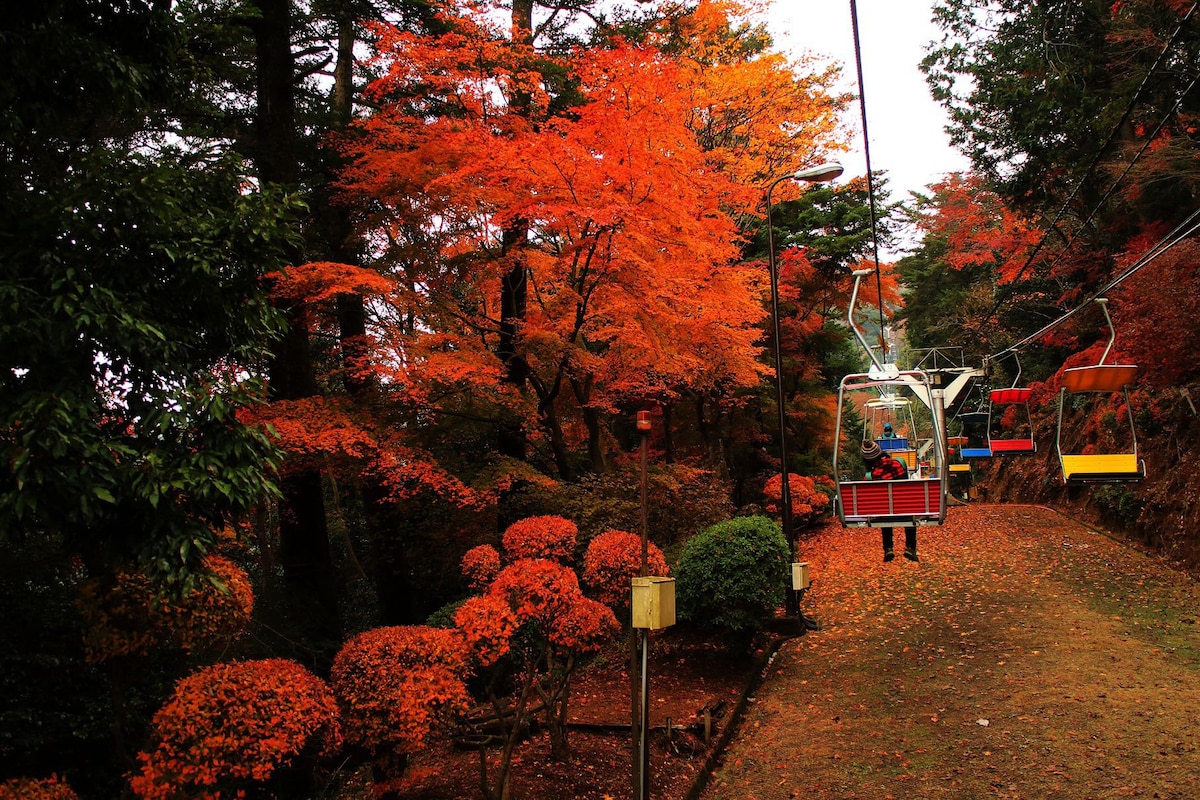 Tokyo: Mt Takao Hike, Ramen & Tattoo-OK Hot Spring