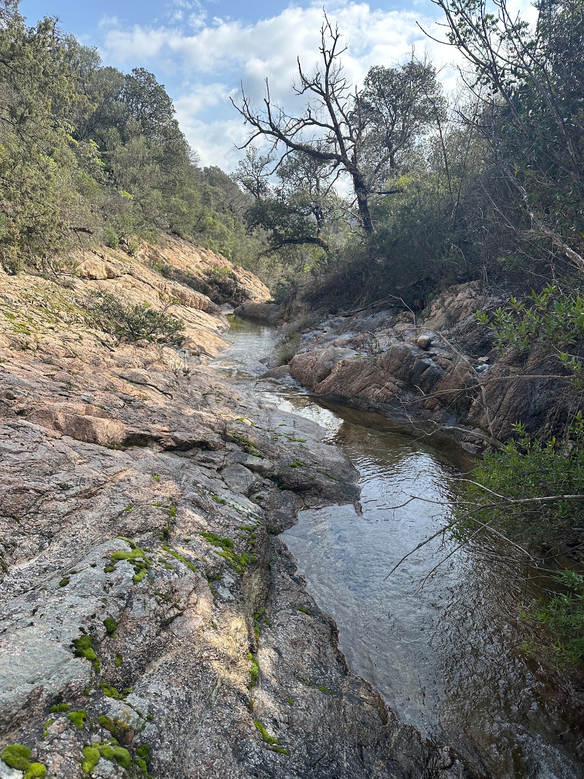 Sardinia Bike Escape: nature, history and flavors