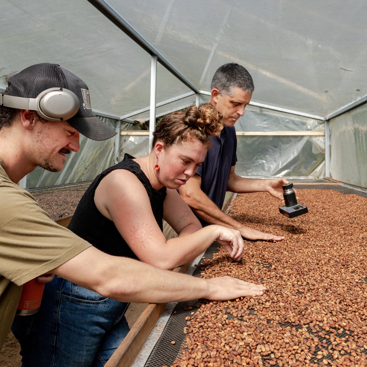 Learn how natural coffee is grown and cultivated
