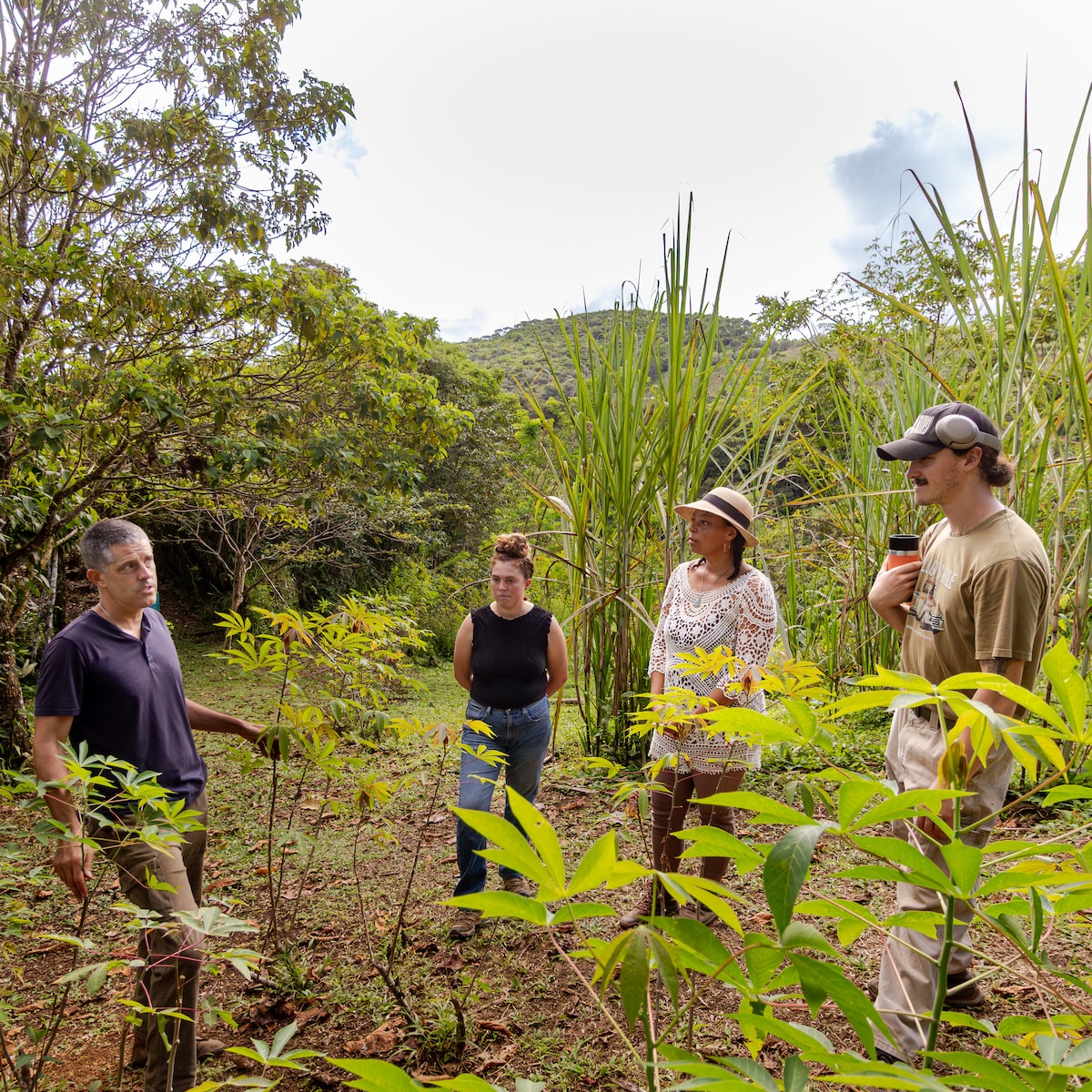 Enjoy a farm to table meal on a 17 acre farm
