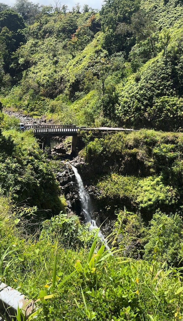 Road to Hana Full Guided Tour with Lunch & Pickup