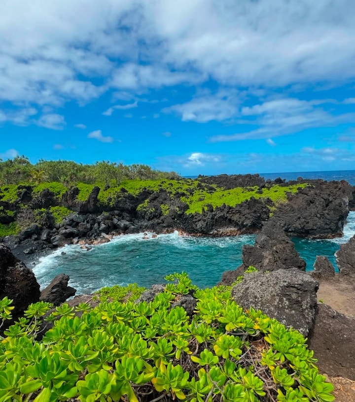 Road to Hana Full Guided Tour with Lunch & Pickup