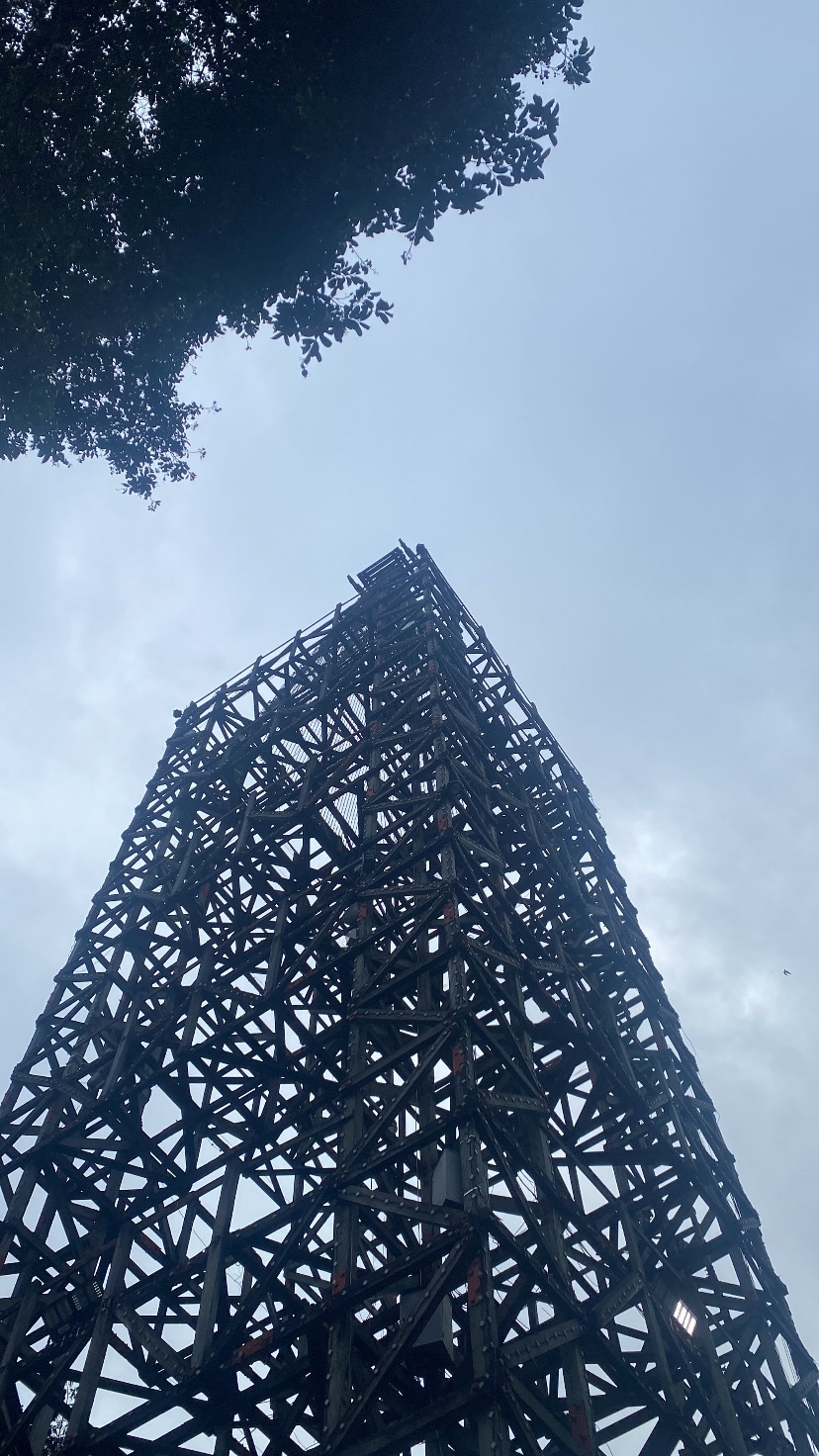 Eco-experience: Nature and Environmental Education