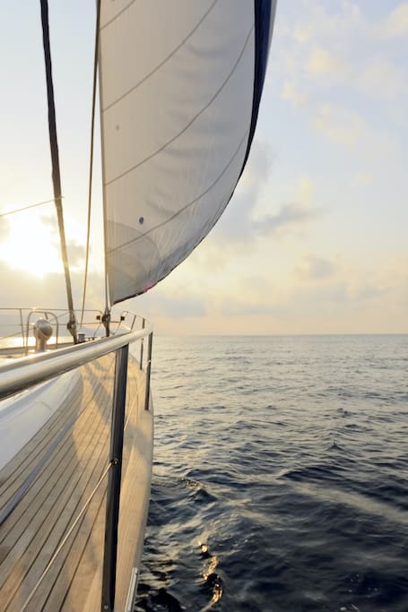 Old Plank : 
Sail into a Deep, Relaxed State