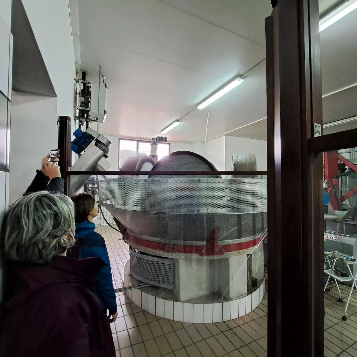 Visit to a traditional oil mill with tasting