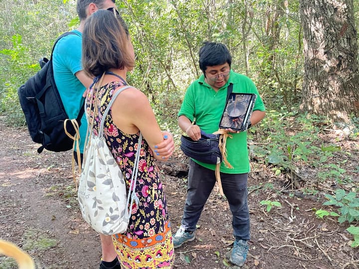 Caminata en la selva descubre el origen del chicle