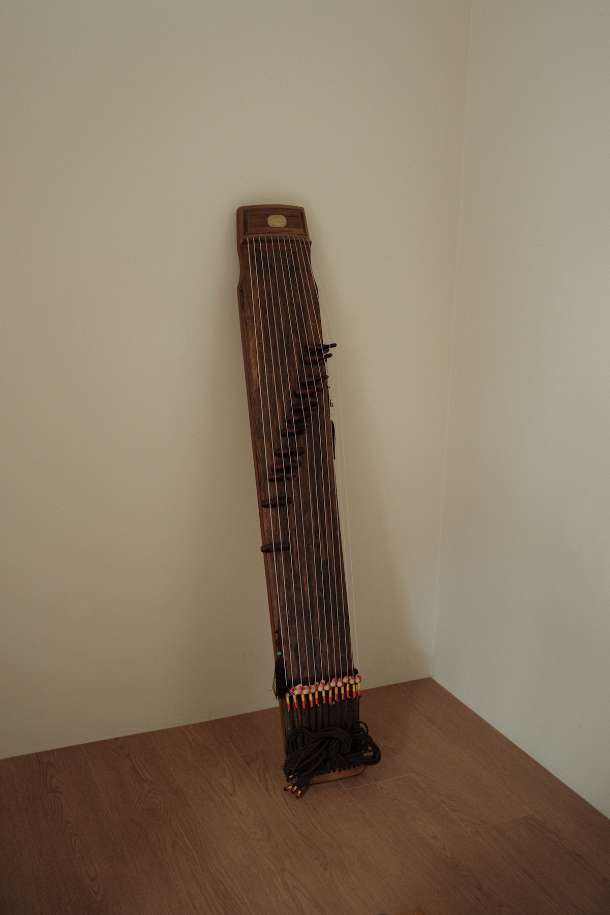 Experience playing arirang with a gayageum player