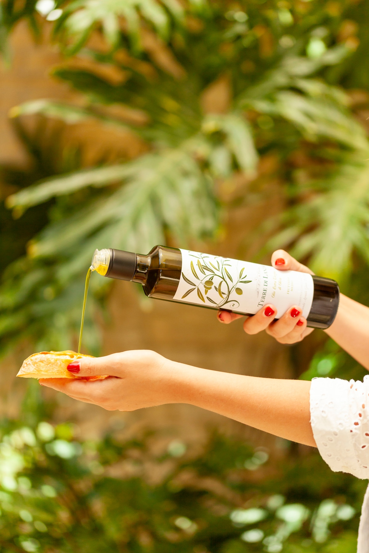 Taste the best Sicilian wines with a sommelier