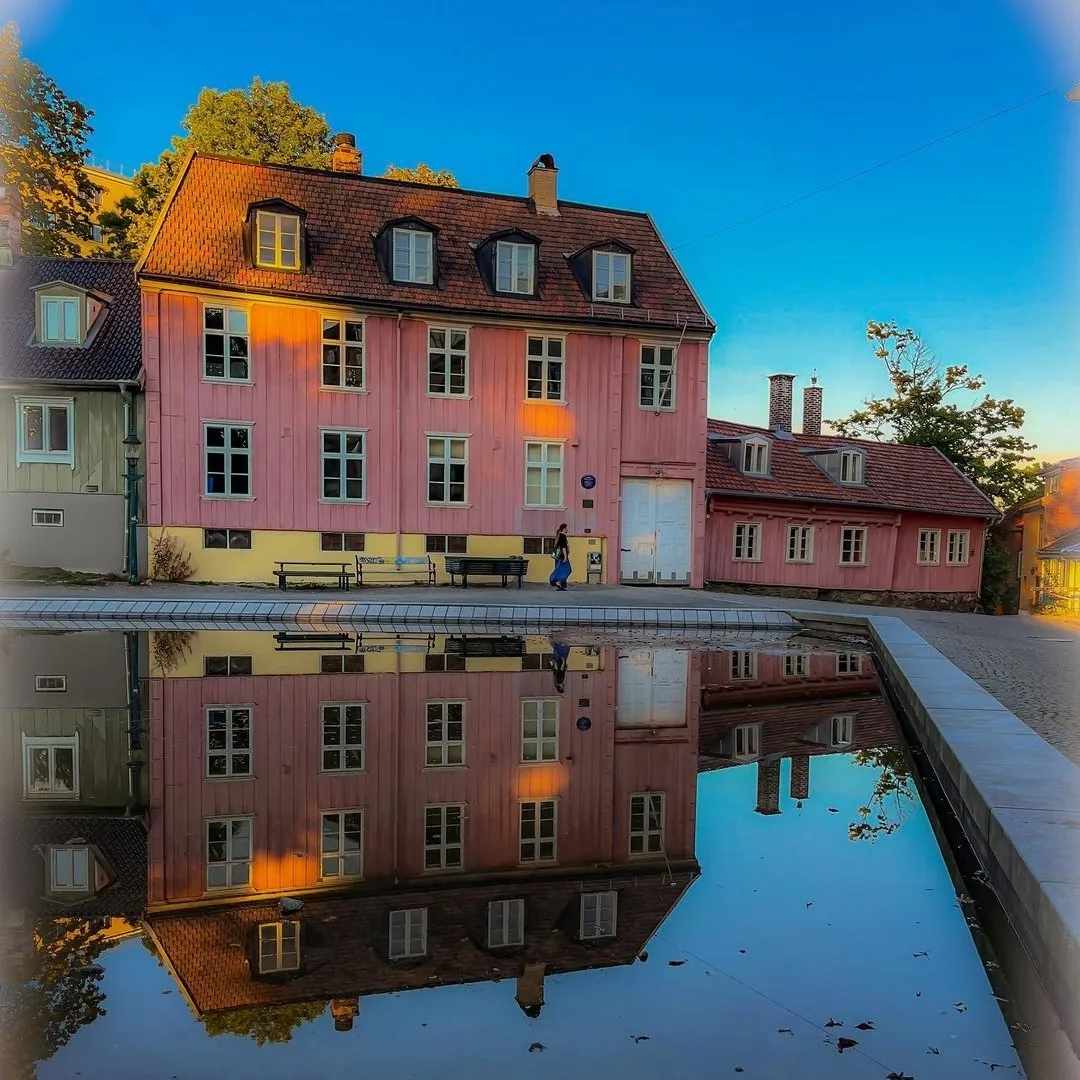 Norwegian Food Tour & Hidden Gems of Oslo CityWalk