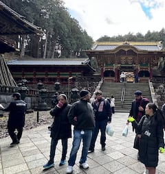 Explora Nikko con un guía local - Inglés/Español