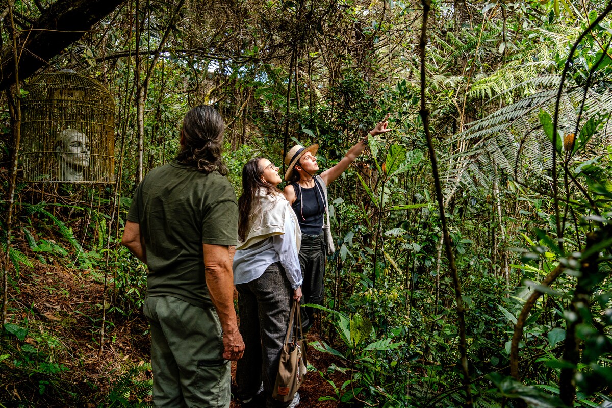 Connect with native plants through forest bathing