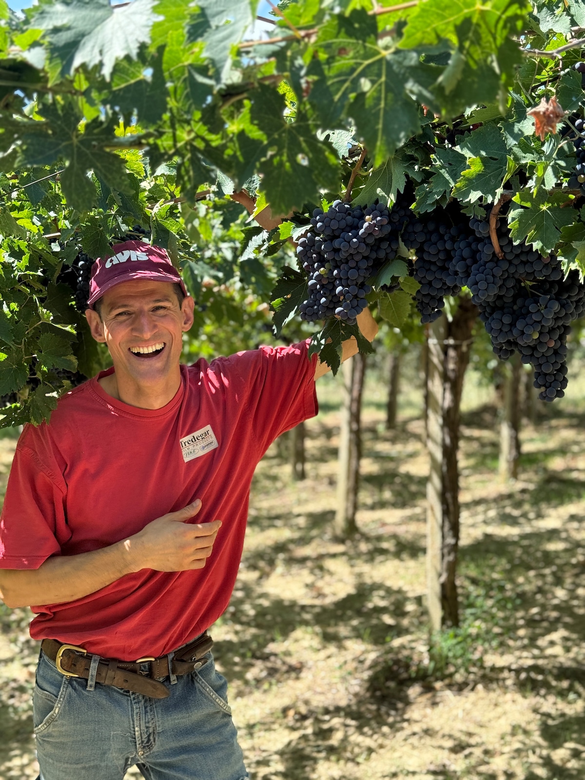 Discover the Hidden Cooked Wine Ritual in Abruzzo