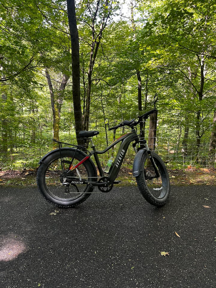 როჩესტერის გაცნობა ელექტროველოსიპედით