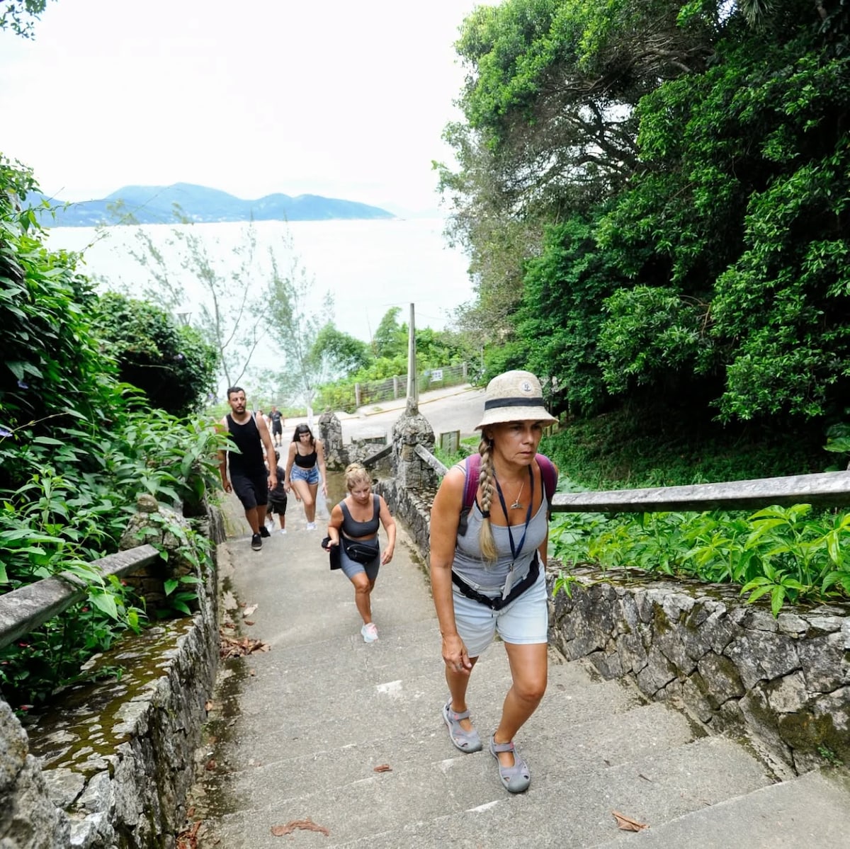 City tour, trails and whales with biologist and guide