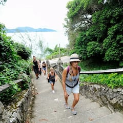 City tour, trilhas e baleias com bióloga e guia
