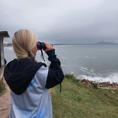 City tour, trilhas e baleias com bióloga e guia