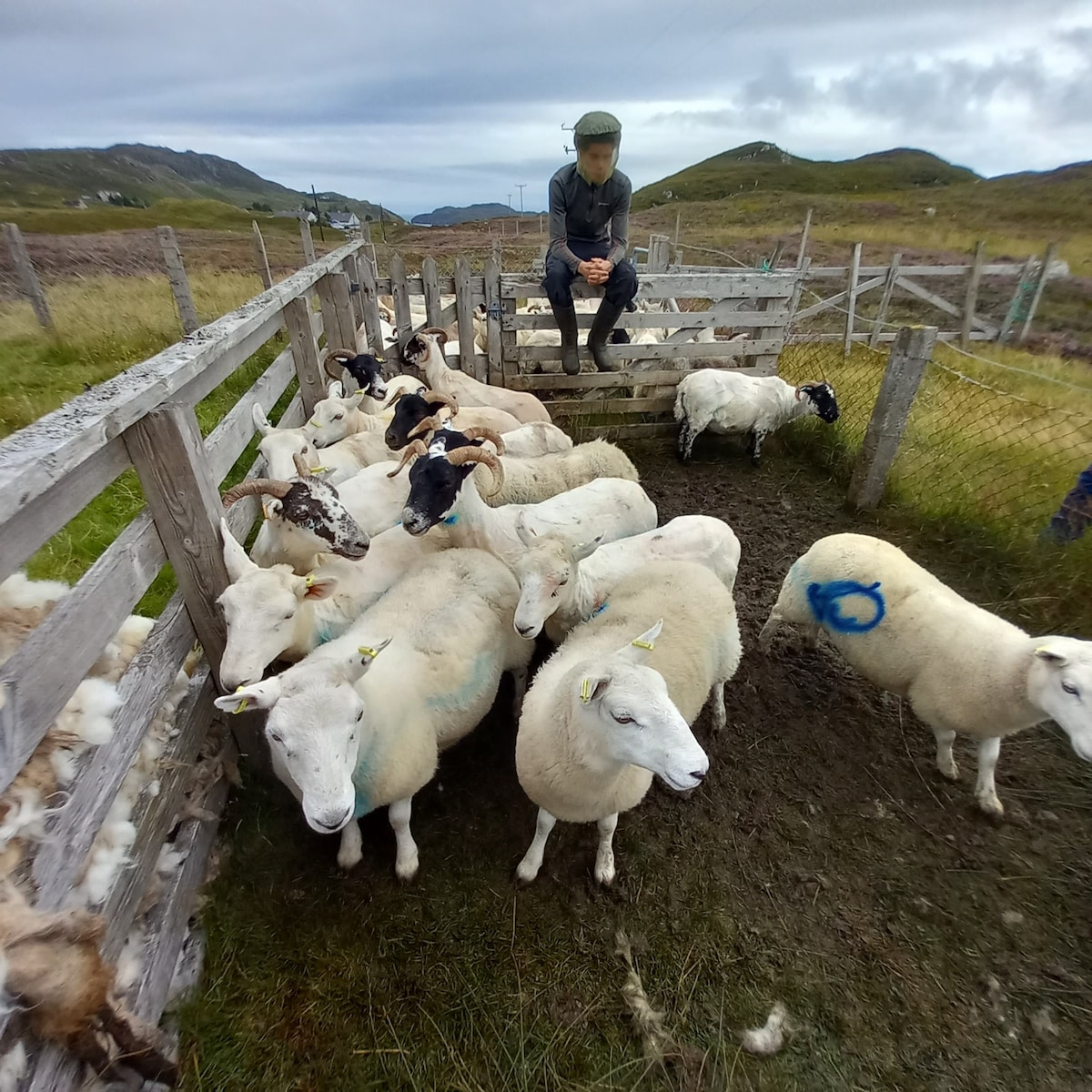 Isle of Lewis croft tour Croft Seventeen Lemreway