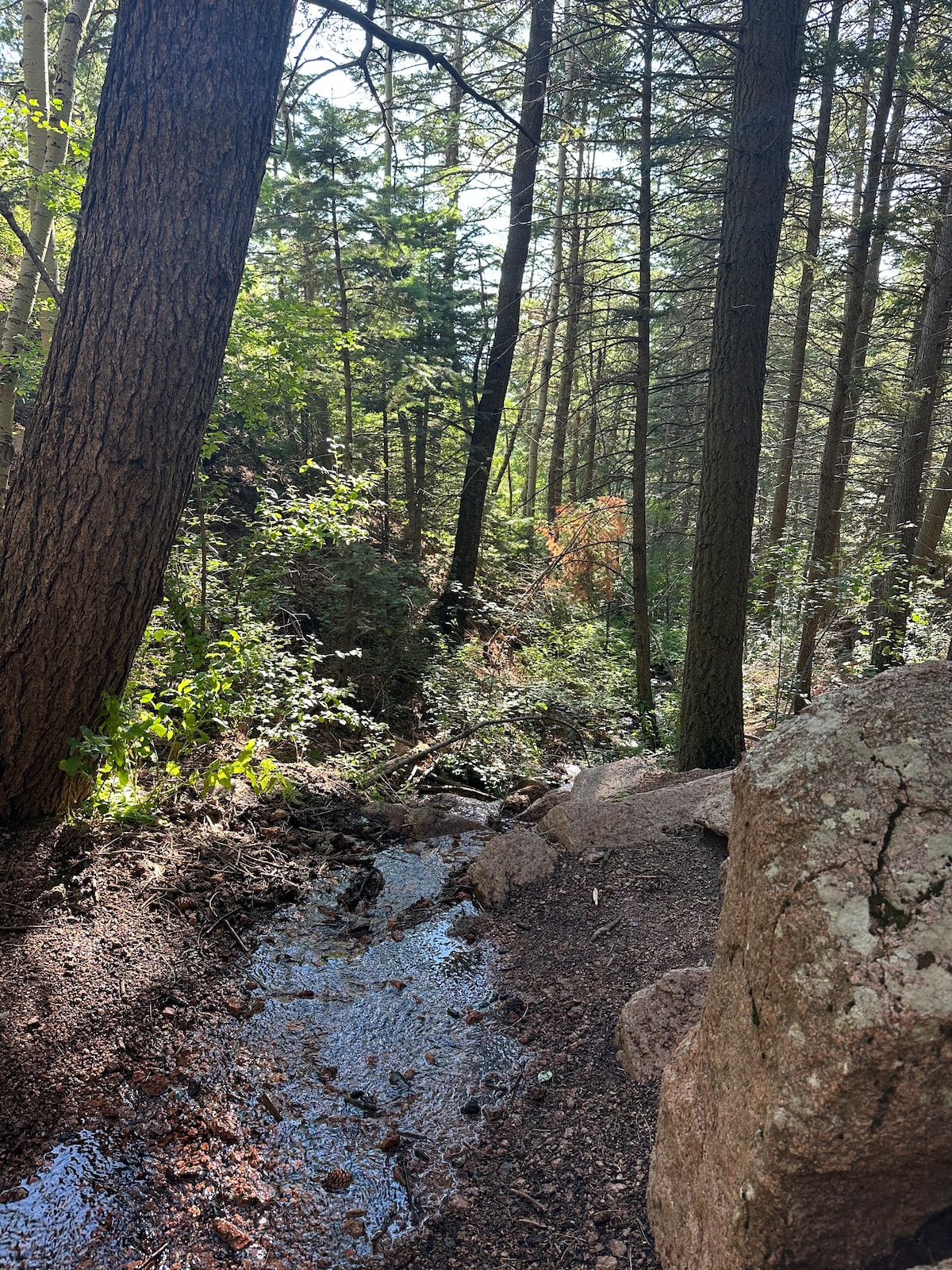 Horsethief Trail Hiking- Aspens and waterfalls