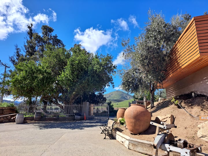 Cata premium en el Valle de Casablanca