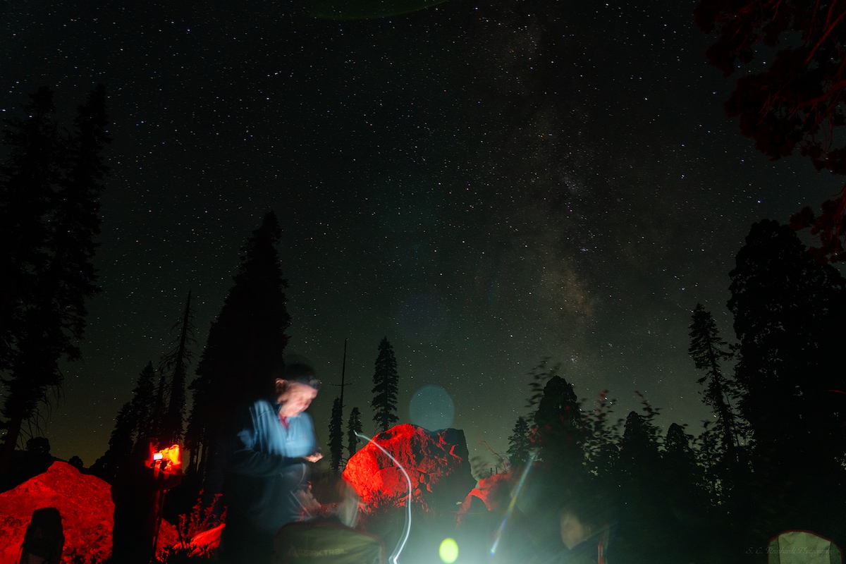Group Stargazing in Sequoia National Park
