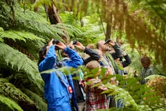Avvista la fauna selvatica al tramonto al Wildlife Wonders