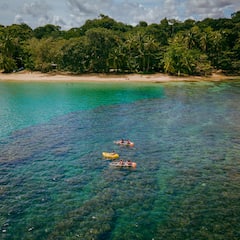 Chèo thuyền kayak trong suốt tại Punta Uva, rừng nhiệt đới và bãi biển