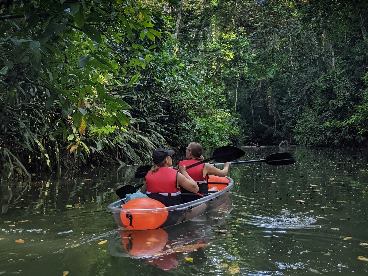 Clear Kayak Punta Uva Wildlife, Rainforest & Beach