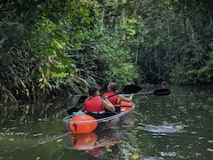 Chèo thuyền kayak trong suốt tại Punta Uva, rừng nhiệt đới và bãi biển