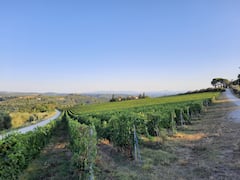 Ride a vintage Defender to lunch at a winery