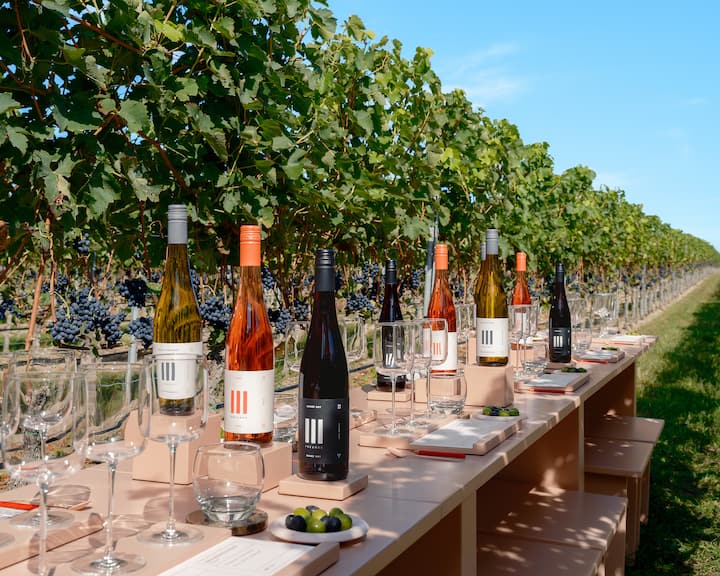 Explore German wine with Matthias Schweighöfer