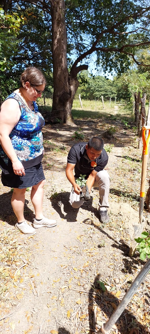 Plant a Tree in the Rainforest