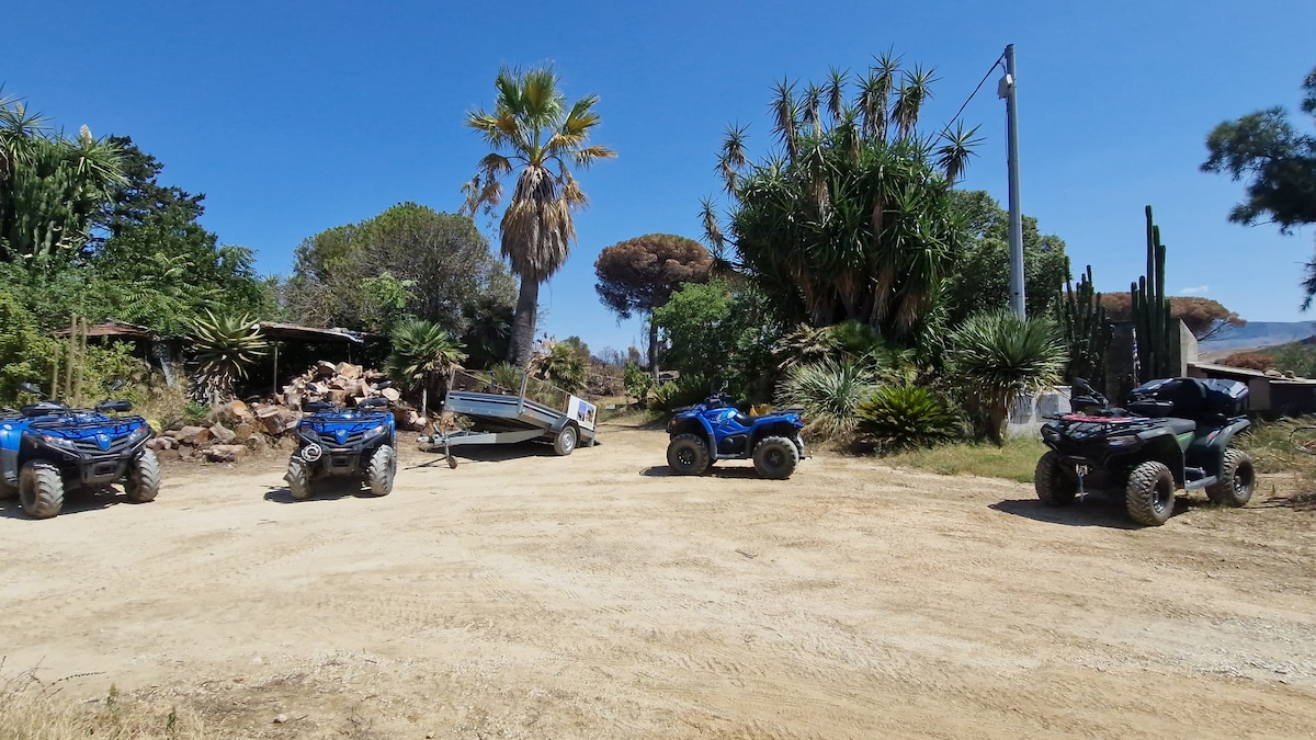 Quad and Side-by-Side Tour of the Temple of Segesta