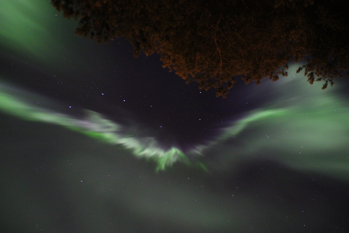 Embers & Auroras: Northern Lights in a Sámi Goahti